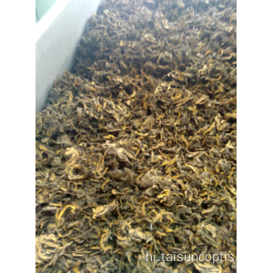 कॉप्टिस chinensis coptis rhizome